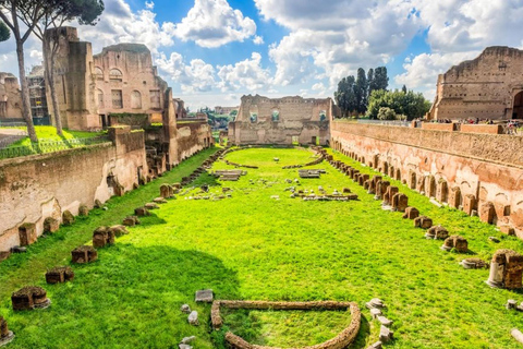 Colosseum Arena Floor & Ancient Rome VIP Tour Colosseum Tour with Arena Floor & Ancient Rome Entry