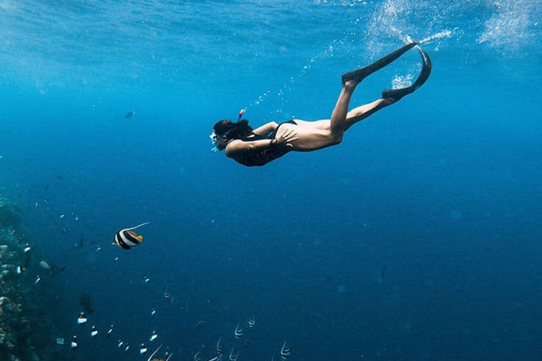 Zanzibar: Dolphin Swim & Snorkeling Guided Tour