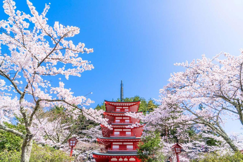 Tour zur fünften Station des Fuji und zum ThermalbadFuji-Ausflug ab Tokyo Station, Abfahrt um 7:30 Uhr