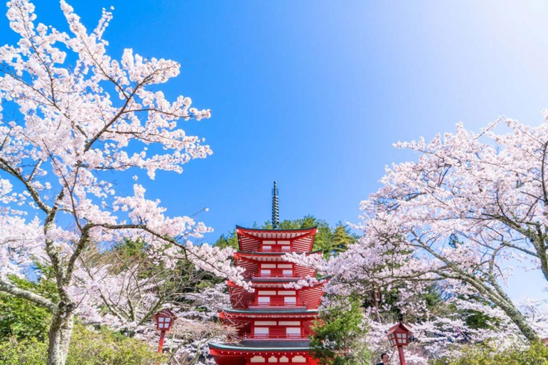 Tour zur fünften Station des Fuji und zum ThermalbadFuji-Ausflug ab Tokyo Station, Abfahrt um 7:30 Uhr