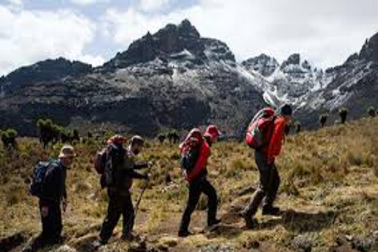 Nairobi: trekking di 2 giorni sulla Via Sirimon del Monte Kenya con trasferimenti