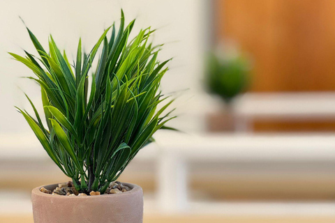 Passeio panorâmico de barco em Split com cerveja, vinho, sumos e mergulhoPasseio panorâmico dividido de barco com cerveja, vinho, sumos e mergulho