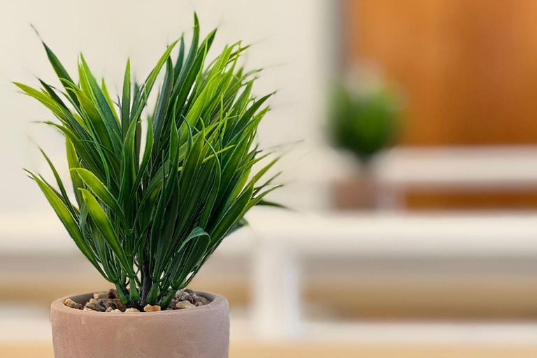 Passeio panorâmico de barco em Split com cerveja, vinho, sumos e mergulhoPasseio panorâmico dividido de barco com cerveja, vinho, sumos e mergulho