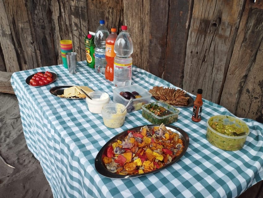 骑马、企鹅、Winery、Alpacas和牛仔BBQ - Hizvo