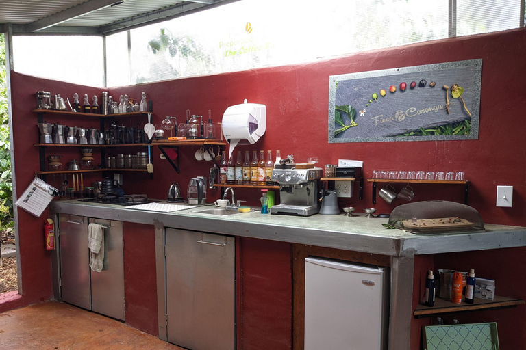 Boquete: Hands-On Coffee Experience with Tasting