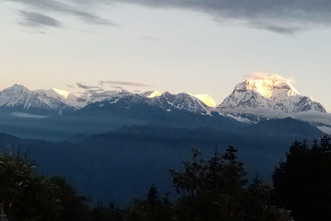 Vanuit Pokhara: 5 Daagse Poon Hill met Natuurlijke Warmwaterbron Trek