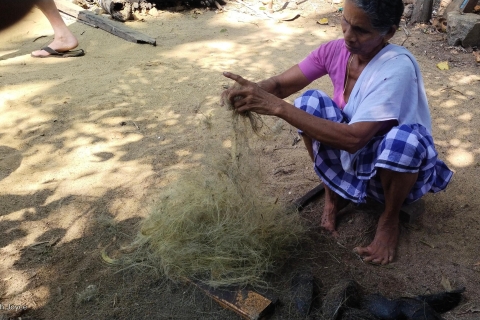 Croisière sur l'eau, tissage de tissus, filage de coco, déjeuner au KeralaCroisière sur l'eau, tissage de tissus, filage de coco, groupe jusqu'à 8 personnes.