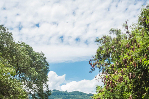 Rio de Janeiro: tour in barca della Laguna di Tijuca con fauna selvaticaRio de Janeiro: giro in barca sulla Laguna di Tijuca con fauna selvatica