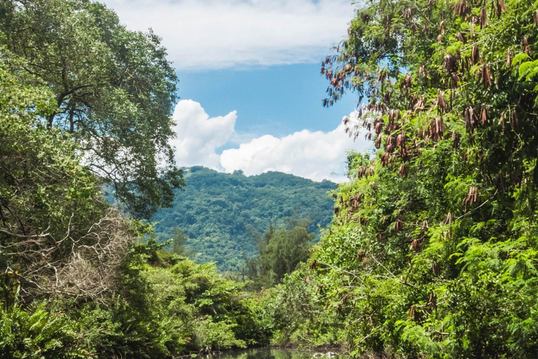 Rio de Janeiro: tour in barca della Laguna di Tijuca con fauna selvaticaRio de Janeiro: giro in barca sulla Laguna di Tijuca con fauna selvatica