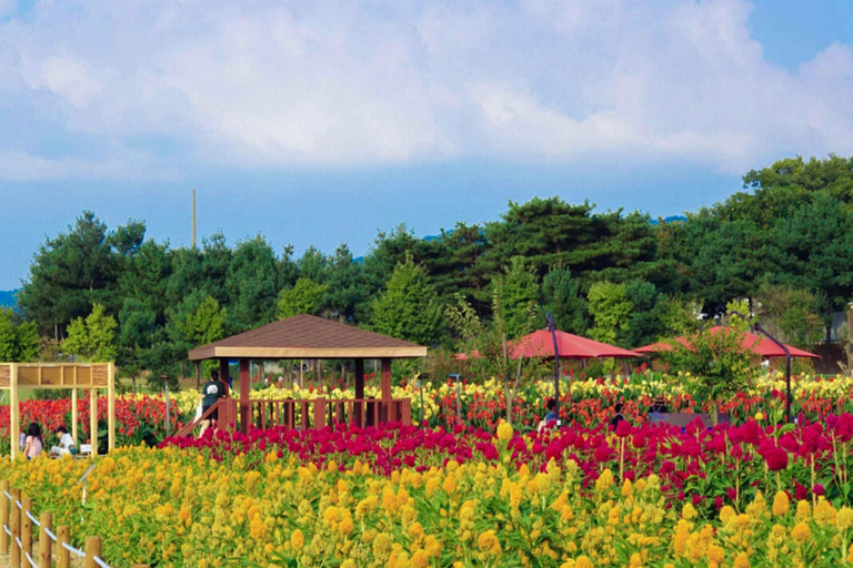Hantan Canyon & Goseokjeong Flower Garden & Pink Muhly Park Depart from Hongik Univ. Station Exit 4