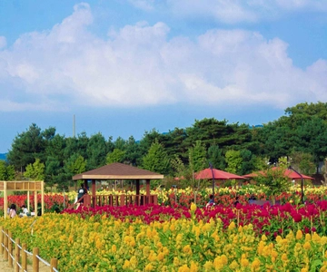 Hantan Canyon, Goseokjeong Flower Garden e Pink Muhly Park