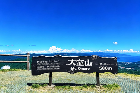 Small Group Day Tour:Omuro Mountain & the Izu Scenic Railway Hotel Transfer Option