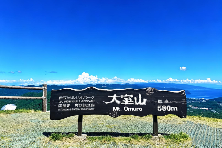 Small Group Day Tour:Omuro Mountain & the Izu Scenic Railway Hotel Transfer Option