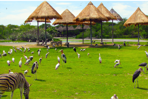 Bangkok: Private Family Tour to Safari & River Dinner Cruise