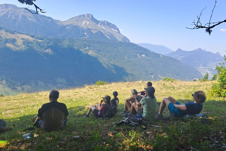 Mountain discovery hike: wildlife, flora and exceptional views Mountain Discovery Hike: Wildlife, Plants, and Exceptional Panoramas