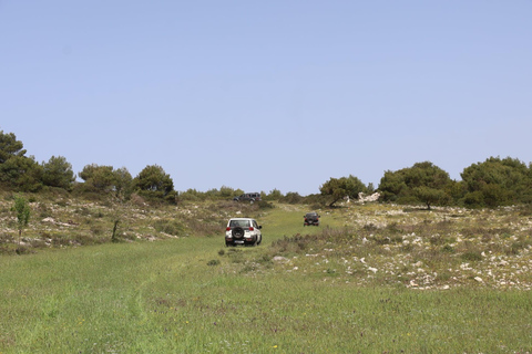 Zakynthos: Jeep Safari Tagesausflug: Meer &amp; Land