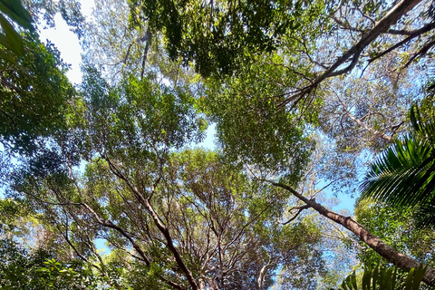 Hike or Boat Trip: Penang National Park & Garden Pick Penang National Park (2-Way Boat) & Entopia