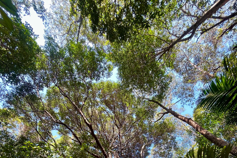 Hike or Boat Trip: Penang National Park & Garden Pick Penang National Park (Trek-In, Boat-Out) & Spice Garden