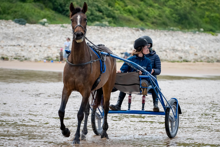 Omaha Beach: Sulky baptism on the beach