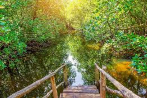 Zanzibar: Jozani Forest, Spice Farm & Stone Town Full-Day. TOUR WITH HOTEL TRANSFER PICKUP AND DROP