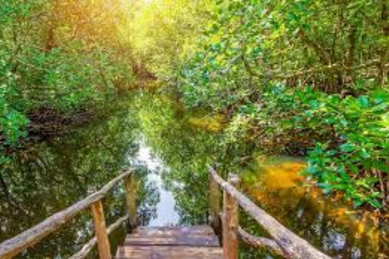 Zanzibar: Jozani Forest, Spice Farm & Stone Town Full-Day. TOUR WITH HOTEL TRANSFER PICKUP AND DROP