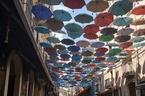 2 hours and 30 minutes guided tour of Catania