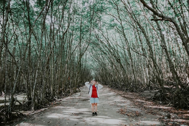 From HCMC: Can Gio Monkey Island Tour to Bunkers & Beach