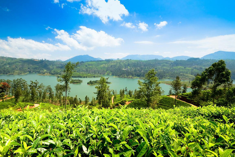 2 Day Tour Pinnawala/Sigiriya From Kandy 2 Day Tour Ac Mini Van