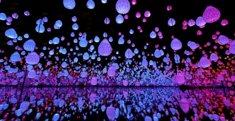 Las Vegas: Arte Museum Las Vegas Immersive Art Exhibition photo 4