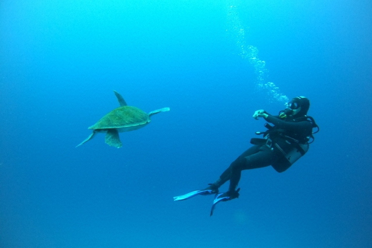 Tenerife : Plongée pour plongeurs certifiés