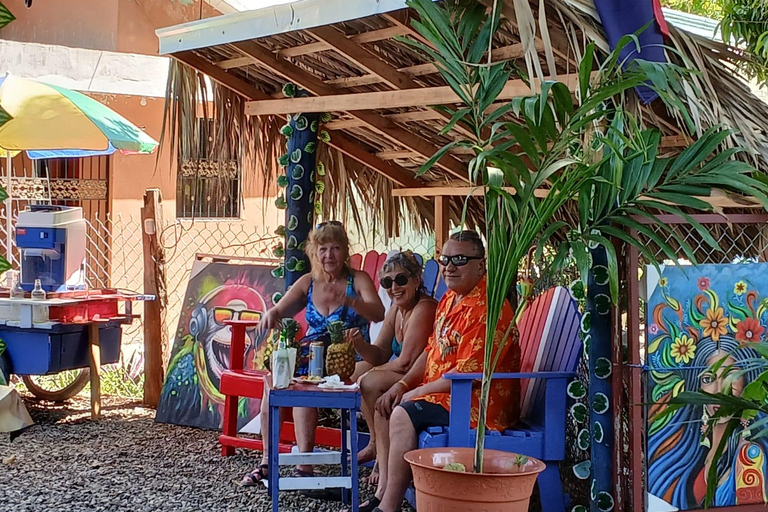 Puerto Plata: Countryside tour with Monkey Home, butterflies, and coffee