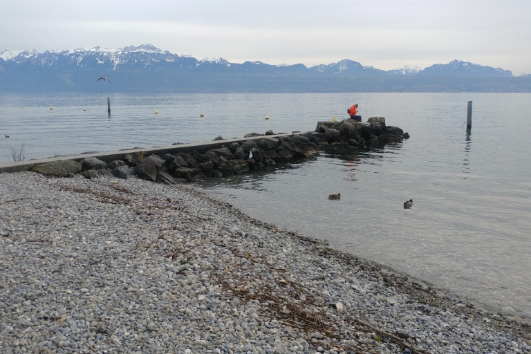 Lausanne : visite à pied privée avec un guide local