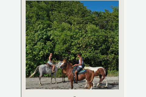 St. Lucia: Private Romance & Rose Horseback Experience