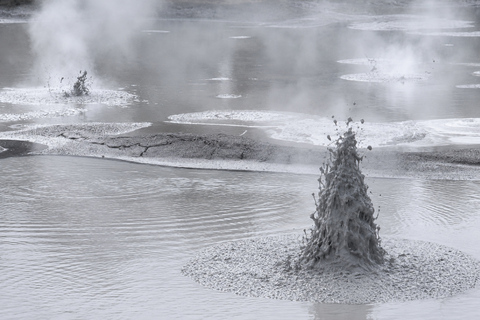 Tauranga: Wai-O-Tapu Thermal Wonderland Cruise Ship Tour