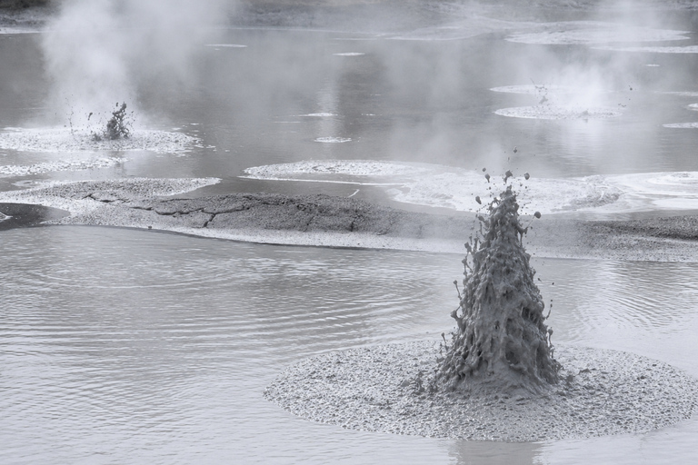 Tauranga: Wai-O-Tapu Thermal Wonderland Cruise Ship Tour