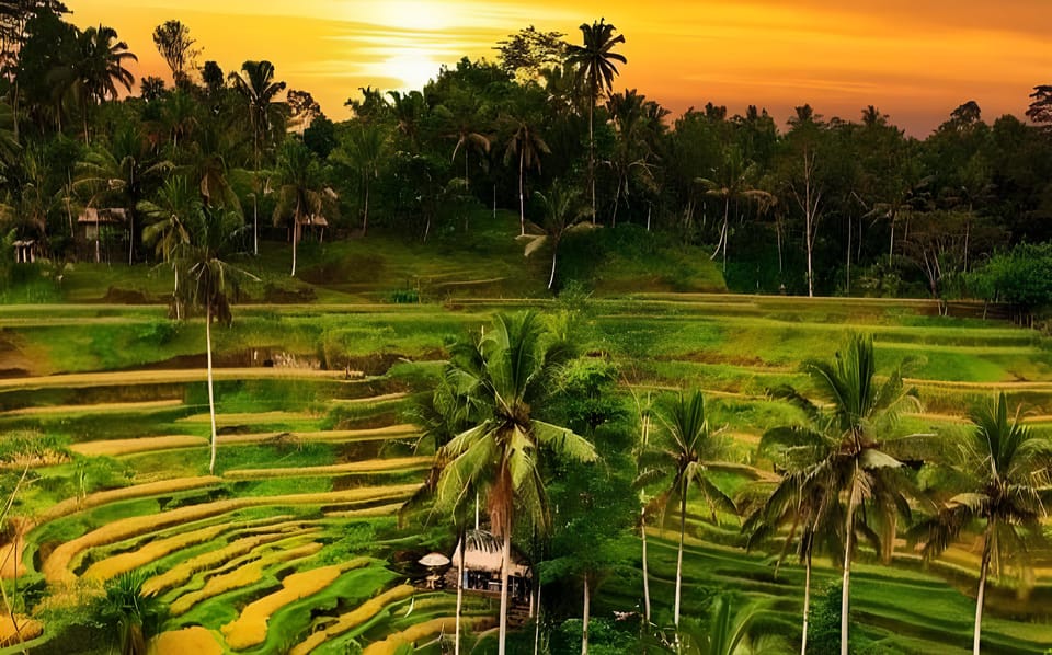 Ubud Columpio De Bali Templo Del Agua Terraza De Arroz Excursi N A