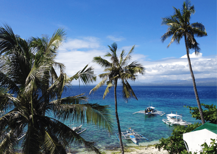 Dumaguete Manjuyod Sand Bar & Dolphin Watching Private Tour | GetYourGuide