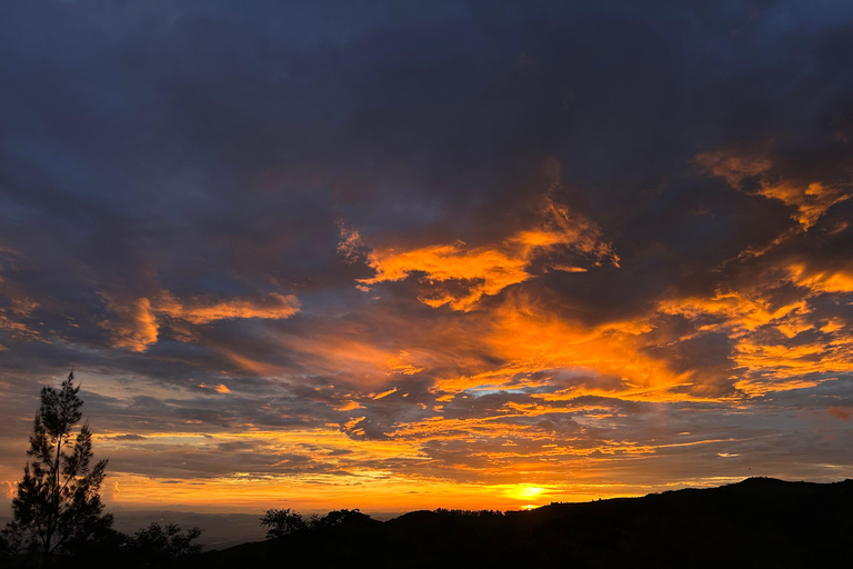 Monteverde: Night Tour with Night Vision Goggles