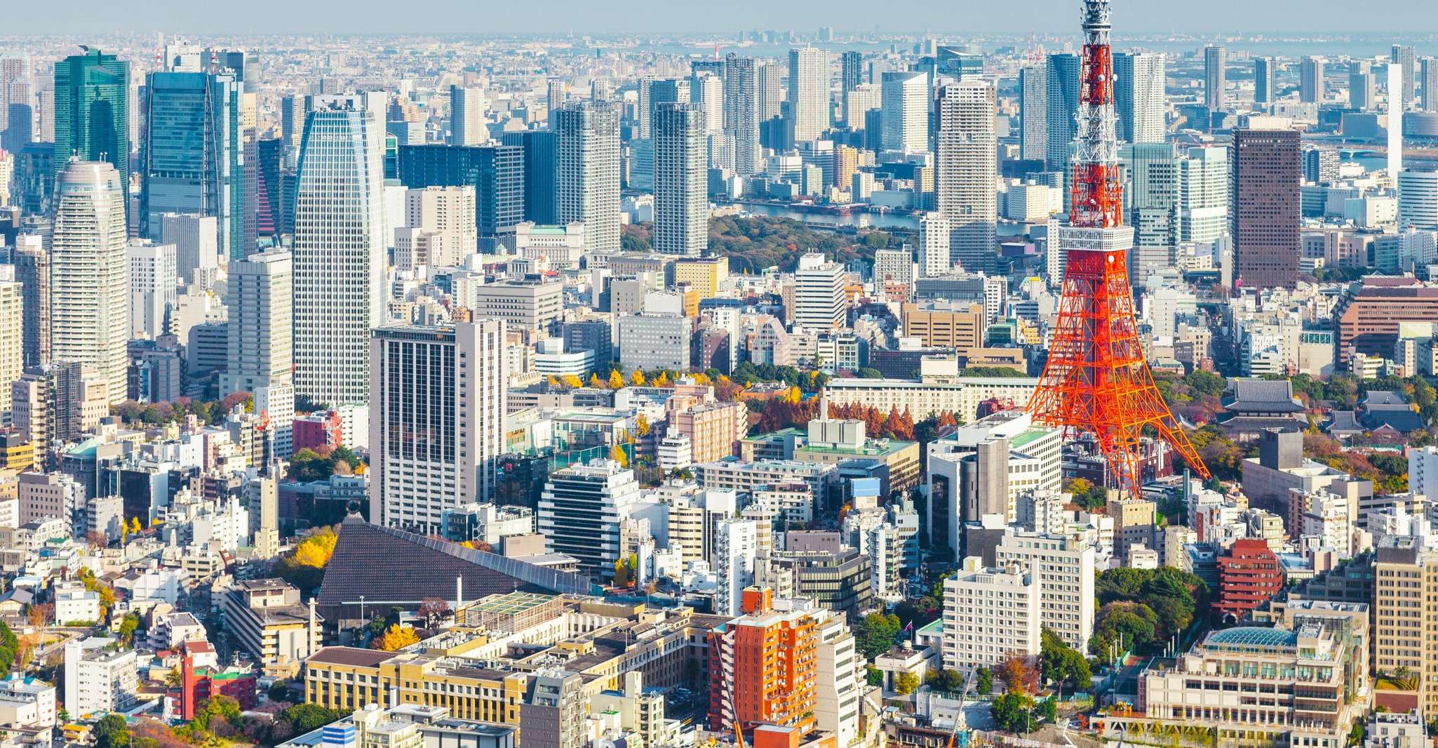 Tokyo: Sushi and Ramen Cooking Class with Sake Pairing Set photo 17