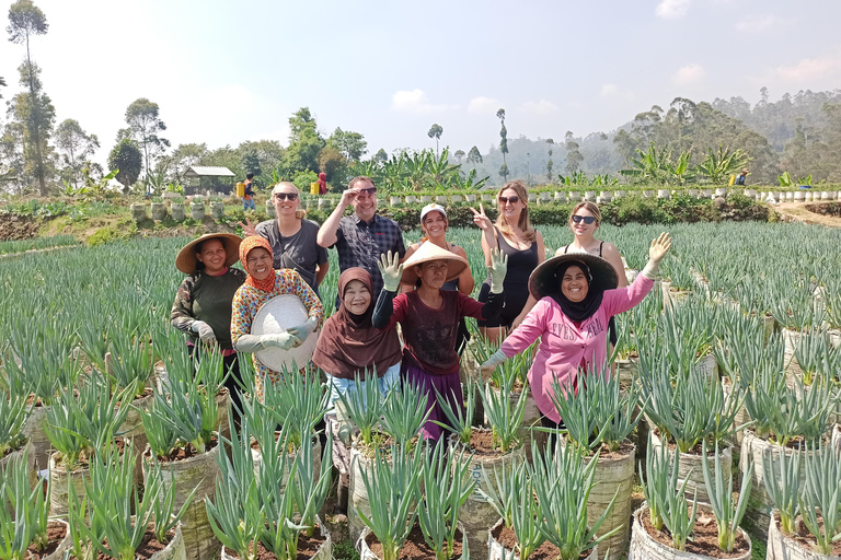 Vulcano, sorgenti calde, bagni di fango e tour del tè: tutto inclusoGiro aperto