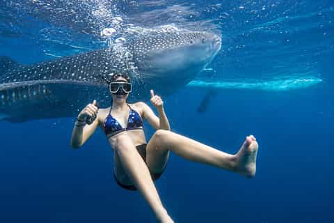 Cebu: Gentle Giants, Tumalog Falls & Simala Shrine Escape - Image 3