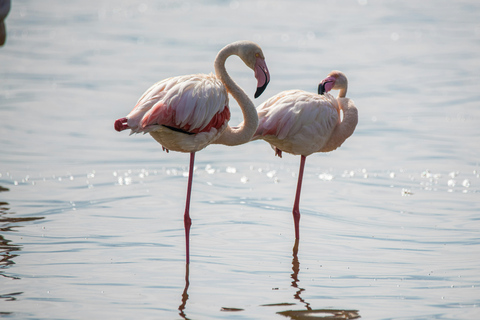 Huelva-Punta Umbria Bike Sightseeing Tour and Cruise Tour Huelva-Punta Umbria Sightseeing Tour and Boat Ride