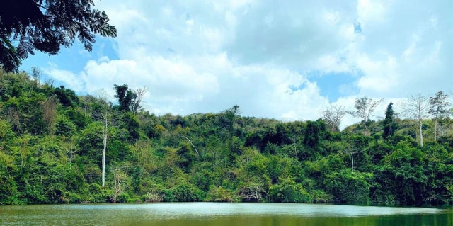 Dar es Salaam: Pugu Hills Forest Reserve 2-Day Camping Tour