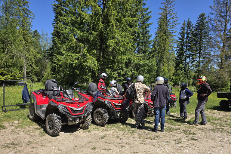 Zakopane: Snowmobile, Quad, or Buggy Tatra Mountains Tour