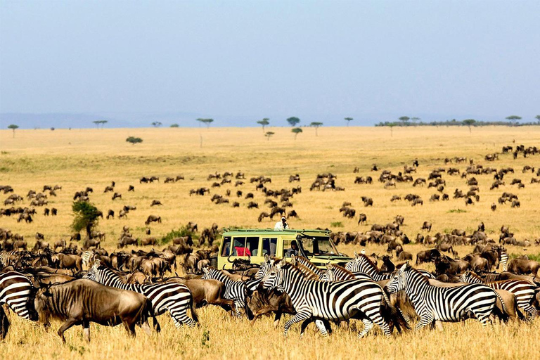 4 Day Breathtaking Safari in Kidepo Valley National Park