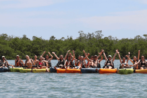 From Naples, FL: Marco Island Mangroves Kayak or Paddle Tour Easy Ride Pedal Kayak Tour