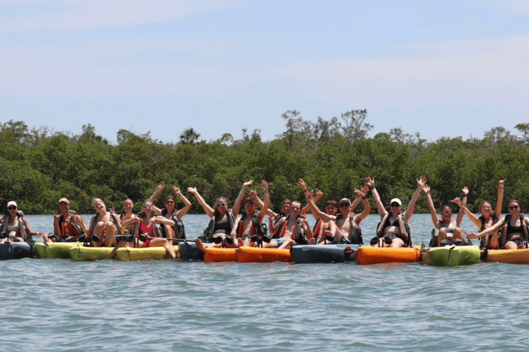 From Naples, FL: Marco Island Mangroves Kayak or Paddle Tour Easy Ride Pedal Kayak Tour