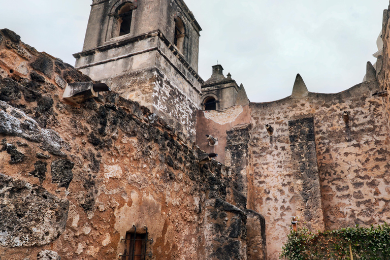 San Antonio Missions Discovery Tour 3.5 Hours