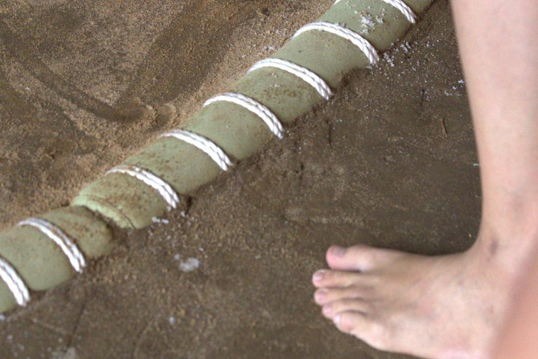 Osaka Authentic Sumo Experience & Challenge on Sacred Ring