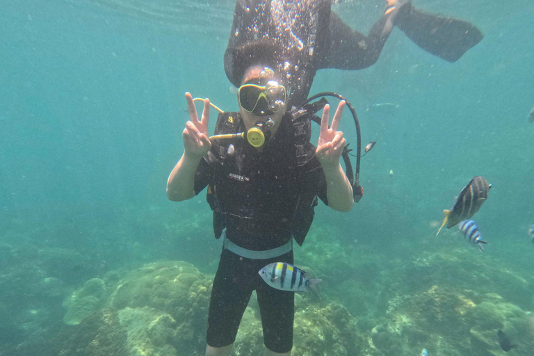 Da Nang: Cham Islands Fun Dive with Lunch and Transfers Fun Divers with Certified - two dive